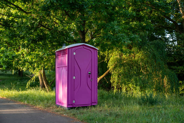 Best Local porta potty services  in Pinconning, MI
